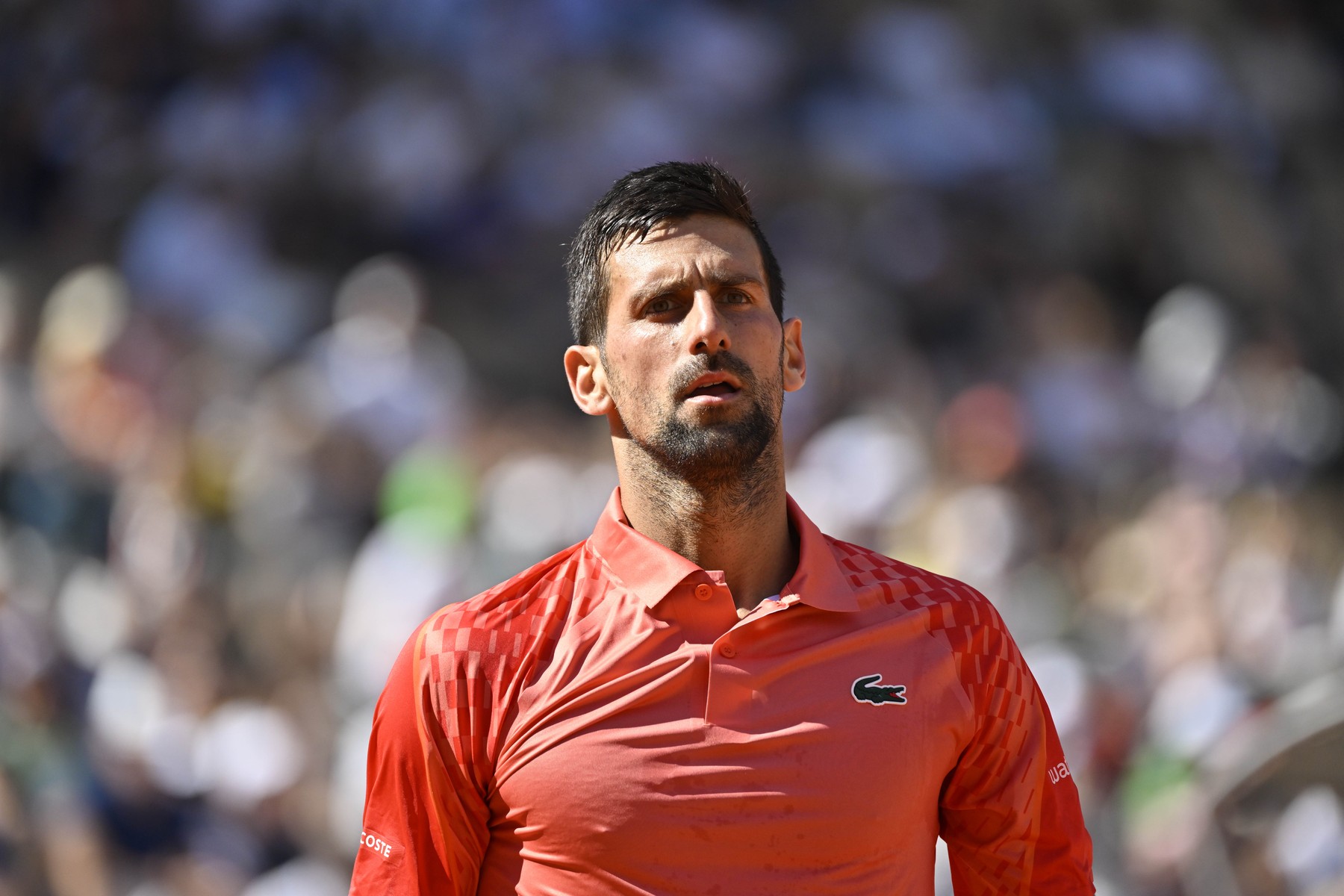  Novak Djokovic, calificare la pas în sferturile de finală la Roland Garros
