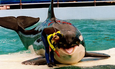  Miliardarul Jim Irsay dă 20 de milioane de dolari pentru salvarea balenei Tokitae. Orca se află în captivitate de 53 de ani